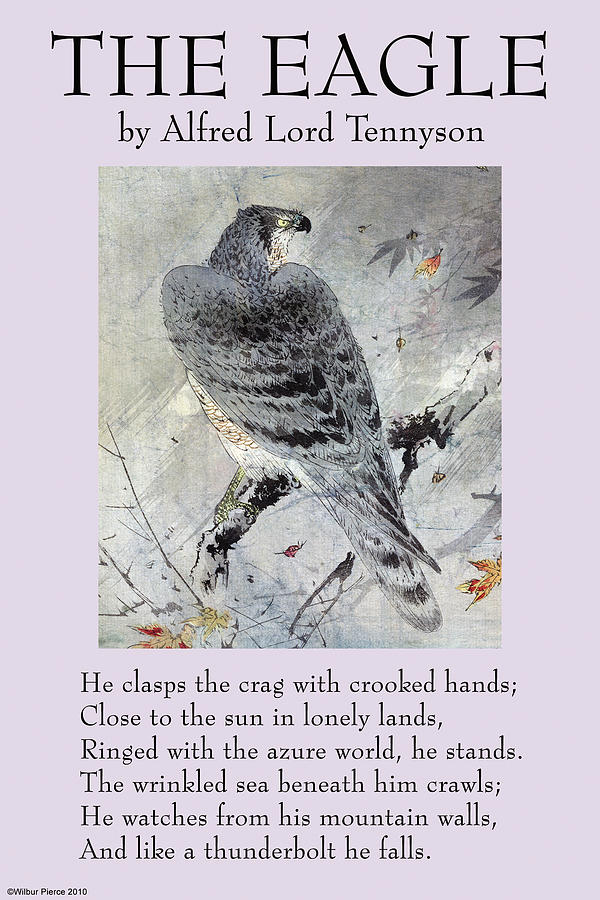 The Eagle